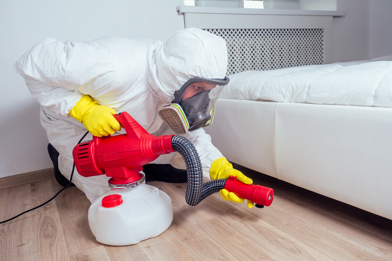 bed bug pest control companies eau claire wi