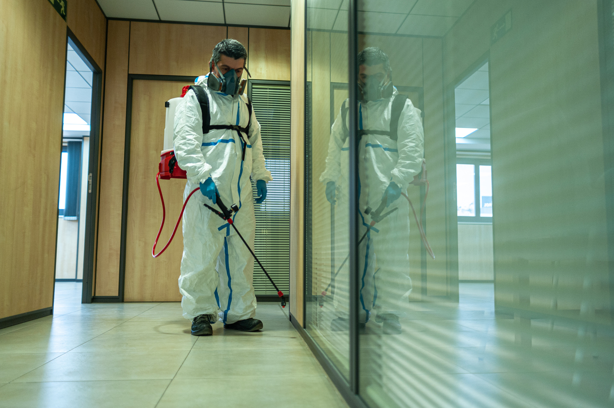 How to Evaluate Pest Control Companies: Key Factors to Consider