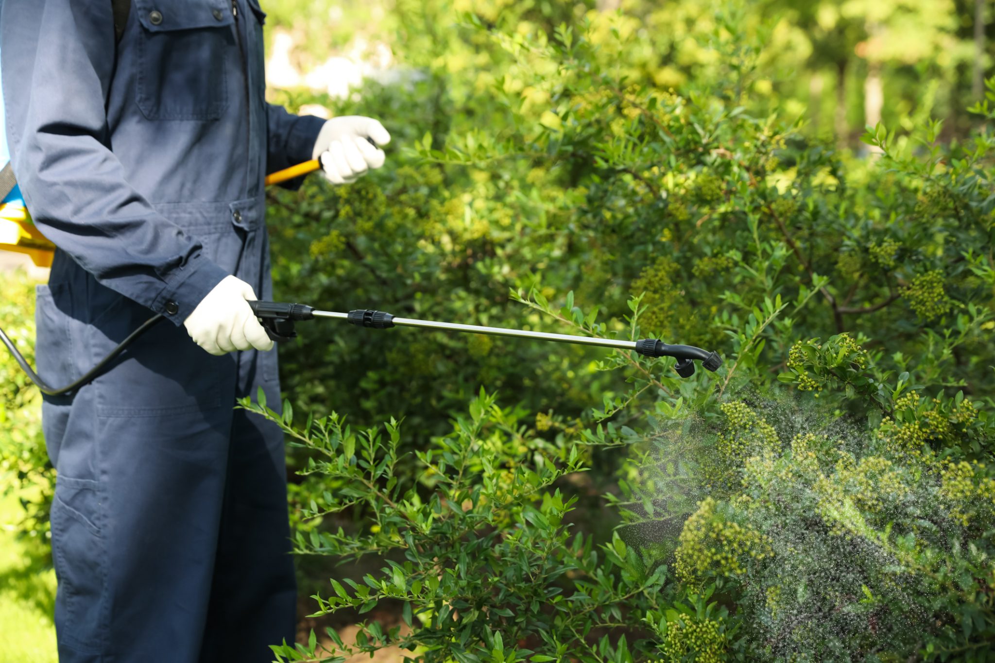 Signs Your Business Needs Commercial Pest Control Services