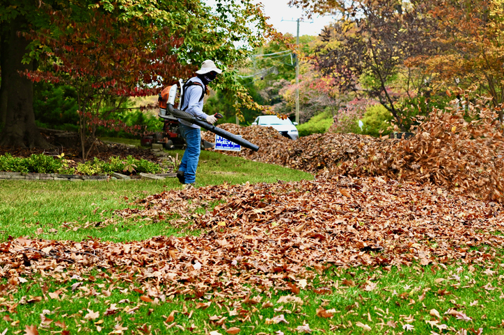 Seasonal Pest Removal: What to Watch for Throughout the Year