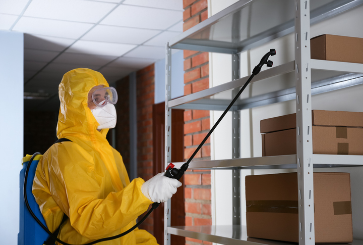 How Commercial Pest Control Helps Maintain Property Value