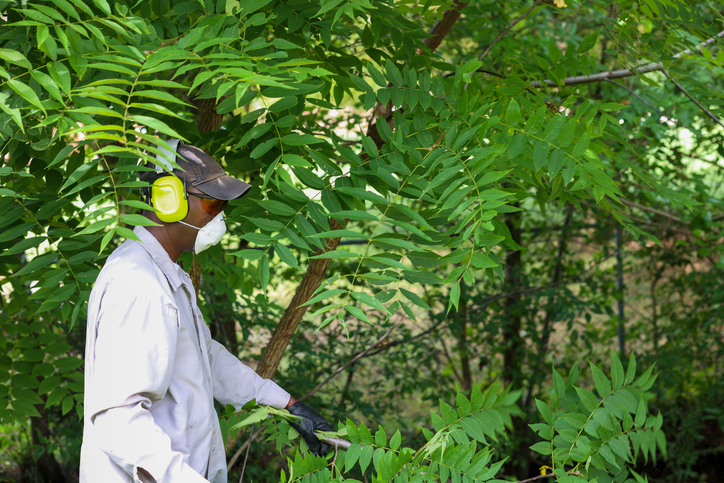 Fall Invaders Pest Control Checklist: Tips to Secure Your Home