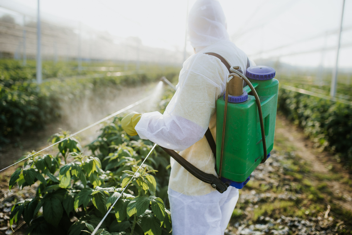 commercial pest control in Wausau WI