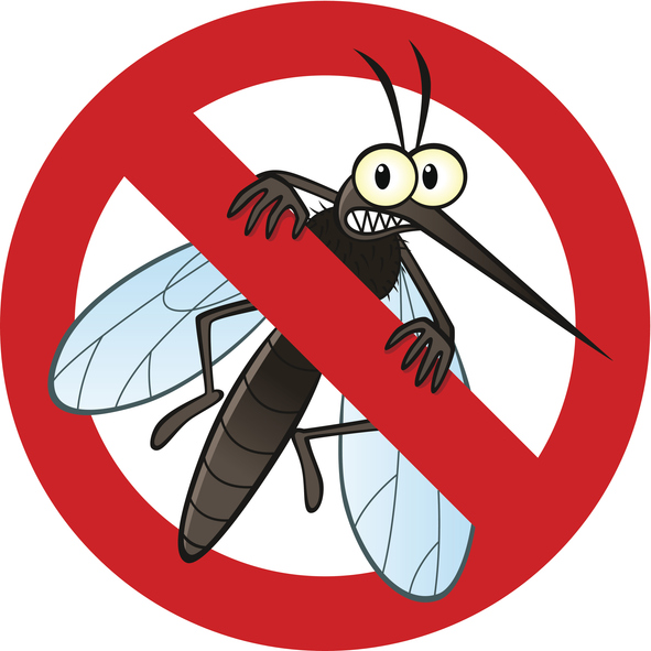 mosquito pest control in Appleton WI