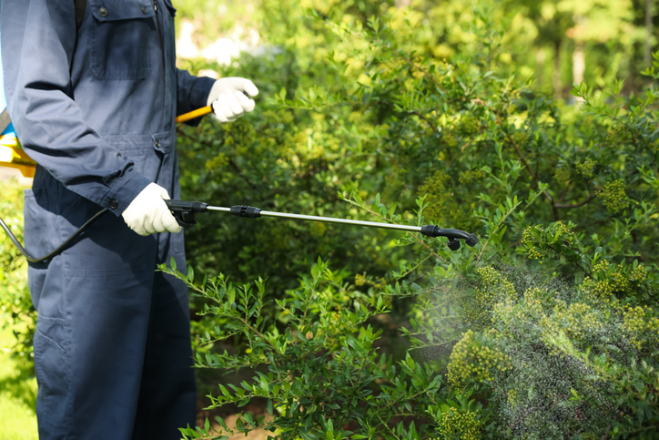 commercial pest control in Green Bay WI