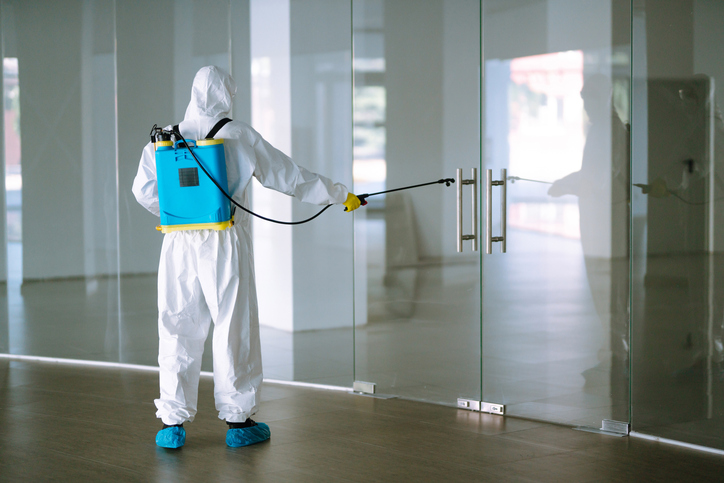 How Commercial Pest Control Services Can Prevent Property Damage