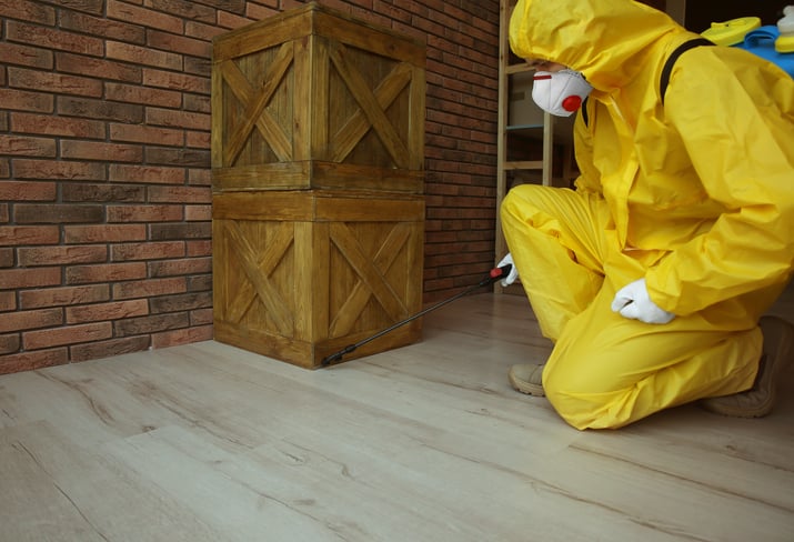 The Long-Term Savings of Hiring a Warehouse Pest Control Company