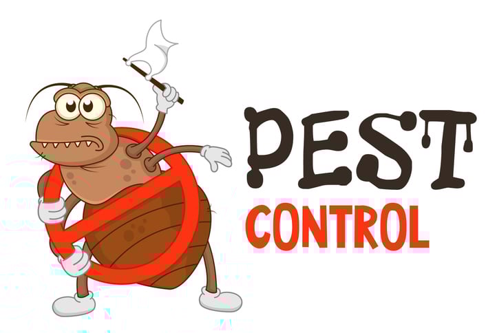 What to Look for When Hiring a Bed Bug Pest Control Company
