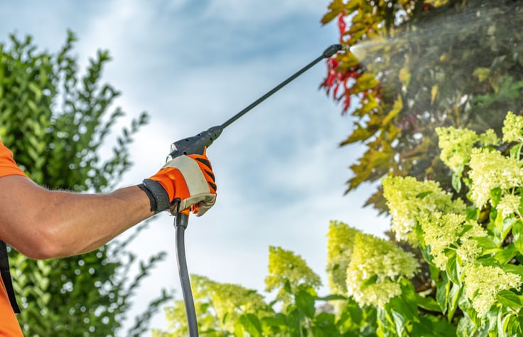 Year-Round Pest Control What You Need to Do Each Season