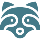 raccoon