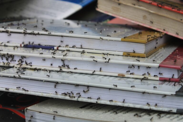 ant infestation on books in residential home