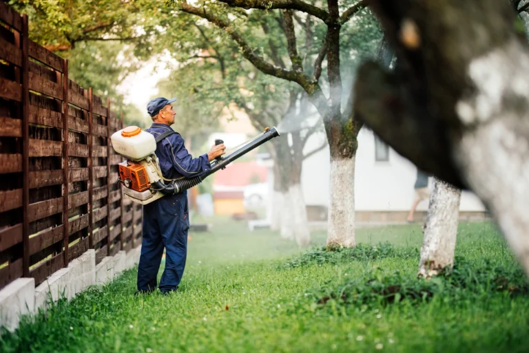 professional mosquito pest control services