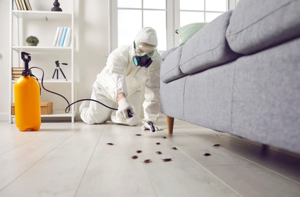 roach removal services
