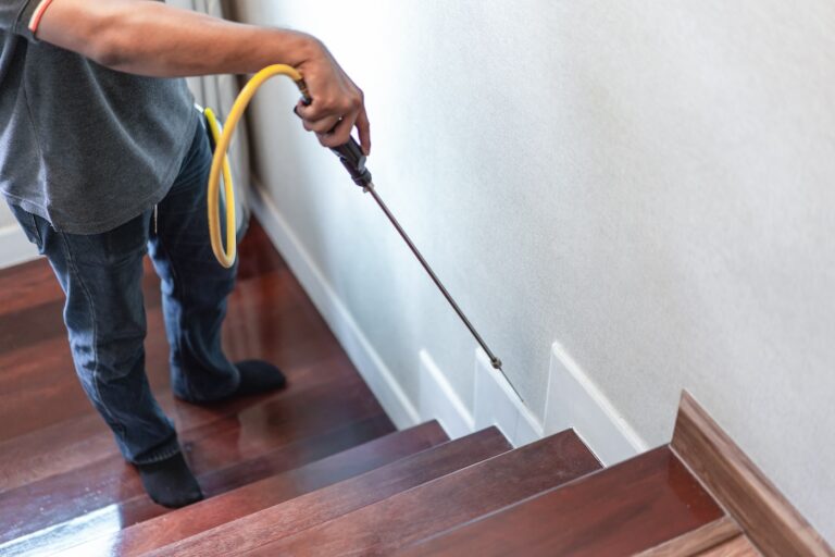 spraying for ants in home