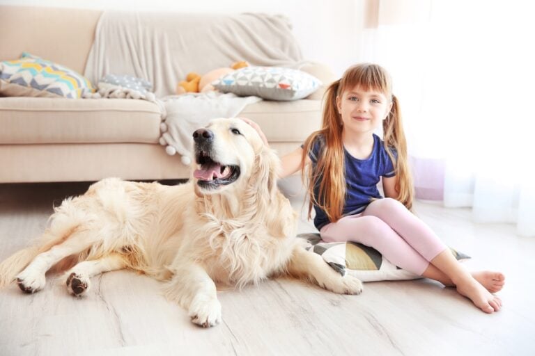 Little girl and big kind dog in the living room