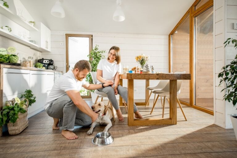 Young couple playing with dog during a breakfast in the dining room of their house