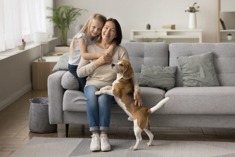 little girl cuddling tightly from behind her older loving granny posing for camera together with cute beagle dog in cozy living room on weekend
