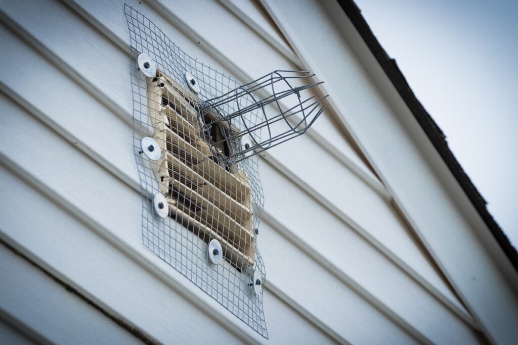 One way squirrel exit tunnel and wire mesh installed to eliminate rodents in attic.